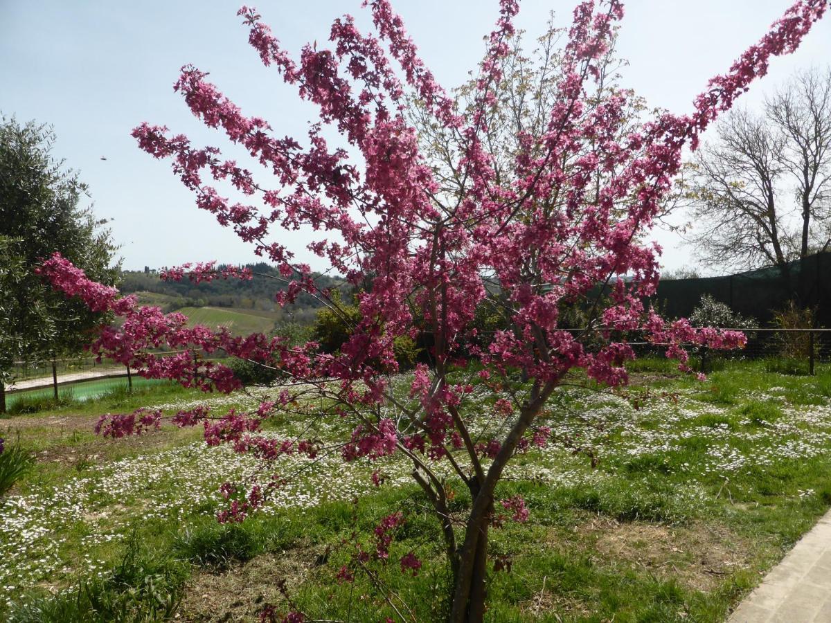 Agriturismo Le Tre Pietre - Podere Nel Chianti Quercegrossa Exterior foto