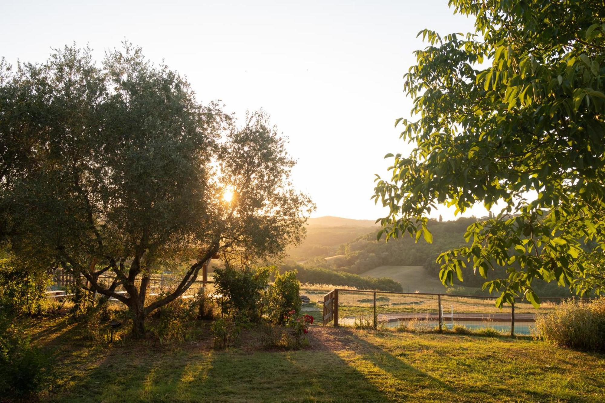 Agriturismo Le Tre Pietre - Podere Nel Chianti Quercegrossa Exterior foto